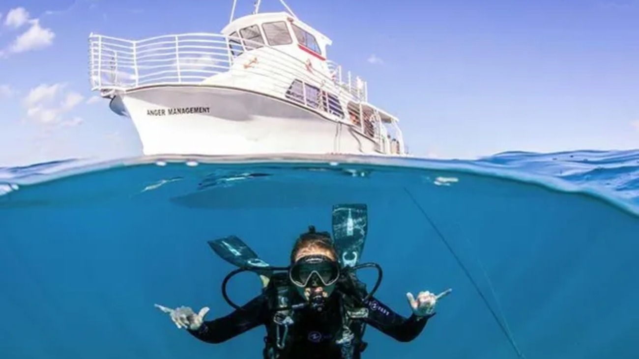 What Adventures Can You Expect on Liveaboard Dive Trips