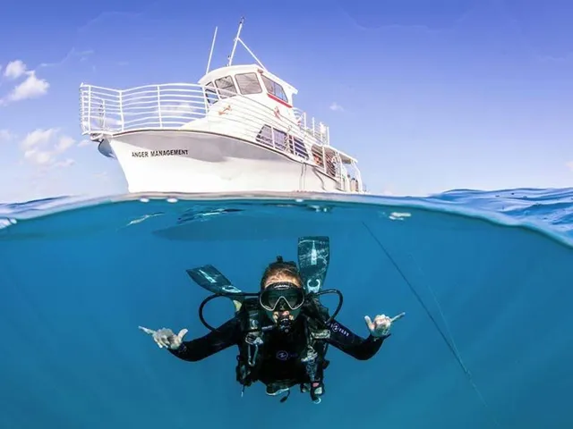 What Adventures Can You Expect on Liveaboard Dive Trips